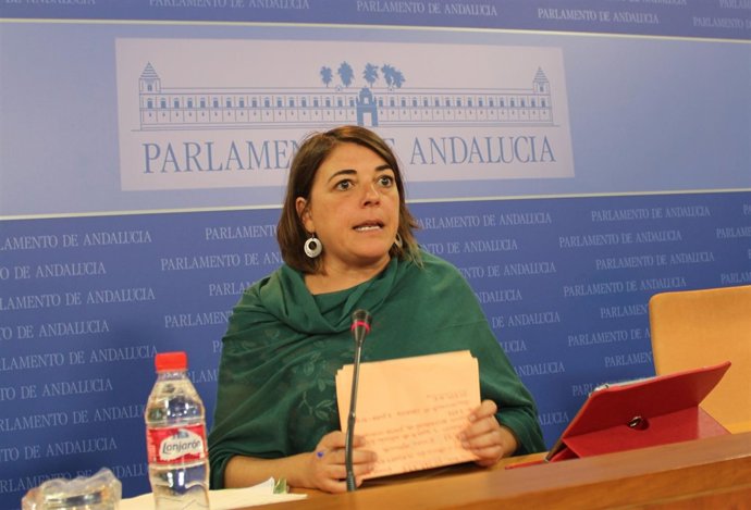 La portavoz parlamentaria adjunta de IULV-CA, Elena Cortés