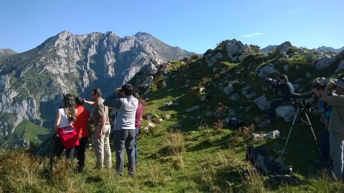 Visitas guiadas a Picos de Europa para conocer programa Quebrantahuesos