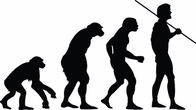Evolución humana
