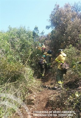 Efectivos del Infoca en la zona del incendio de La Línea (Cádiz)