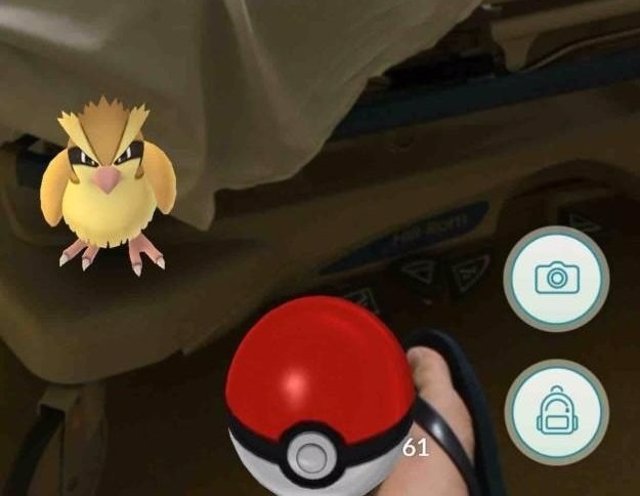 Pokemon Go Pidgey