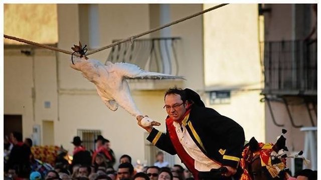 Gansos Carpio de Tajo
