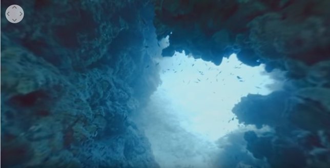 Vídeo en 360 del arrecife de coral