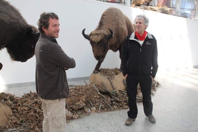 Presentación de la muestra 'Bisontes en el MEH'