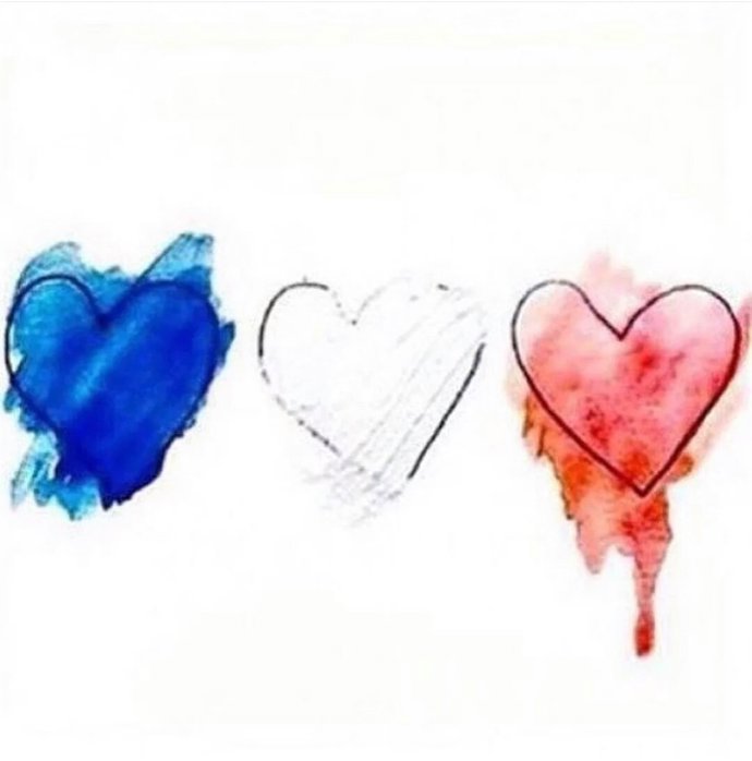 CORAZONES EN SOLIDARIDAD CON FRANCIA