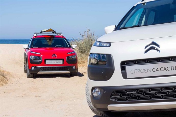 Citroën C4 Cactus Rip Curl