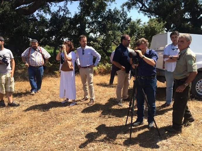 El consejero de Medio Ambiente, José Fiscal, en Doñana.