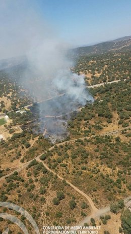 Incendio forestal en El Ronquillo (Sevilla)