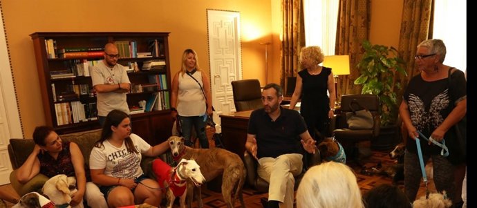 Diputación de Alicante lanza una campaña de protección de animales