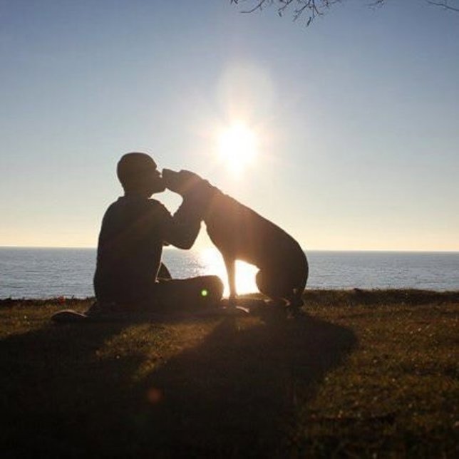 Este hombre se lleva a su perra con cáncer a un épico viaje
