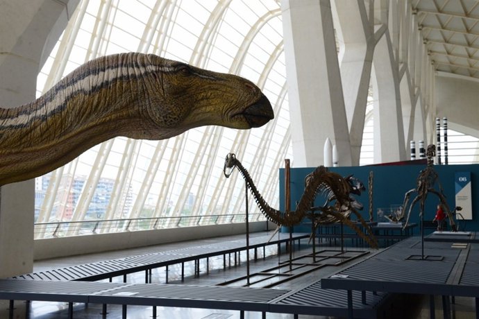 Exposición sobre dinosaurios