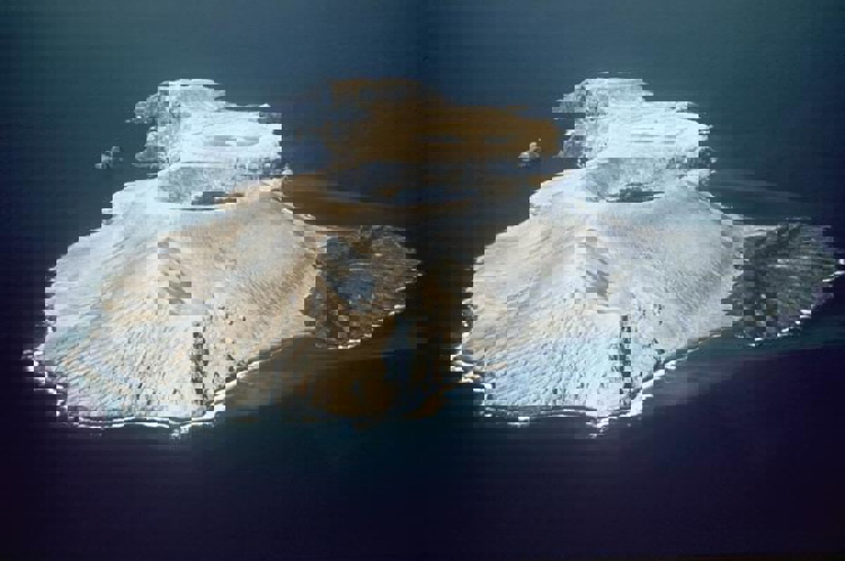 El archipiélago mexicano de Revillagigedo Patrimonio Mundial por la UNESCO