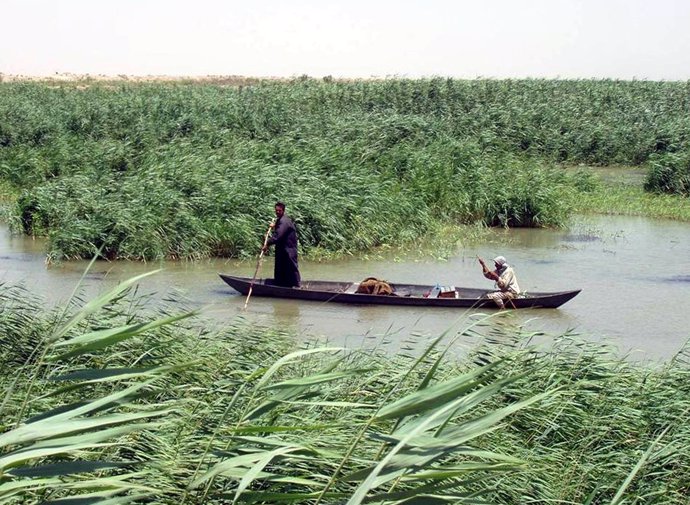 Humedales en el sur de Irak