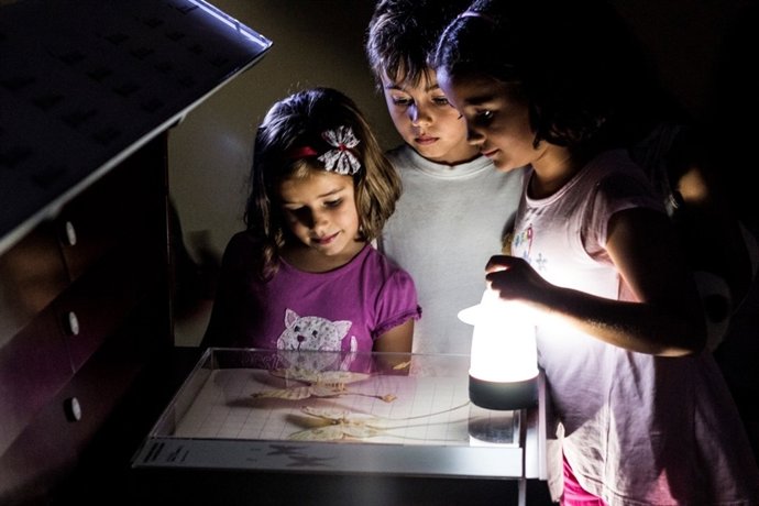 Actividad nocturna en el Museo de la Naturaleza y el Hombre