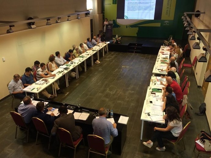 Valoración de las oportunidades para el Parque Nacional Sierra de las Nieves.