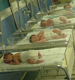 Bebés en cunas nido