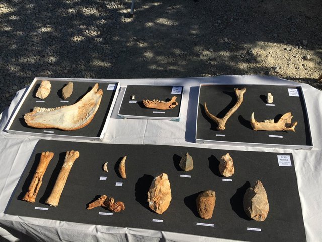 Restos encontados en Atapuerca