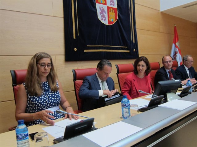 Mario Amilivia comparece en las Cortes