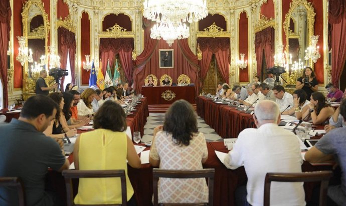 Pleno de la Diputación Provincial de Cádiz 