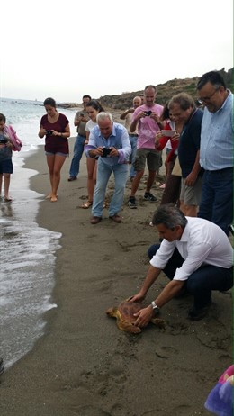 Liberadas tres tortugas bobas recuperadas en el Cegma de Algeciras
