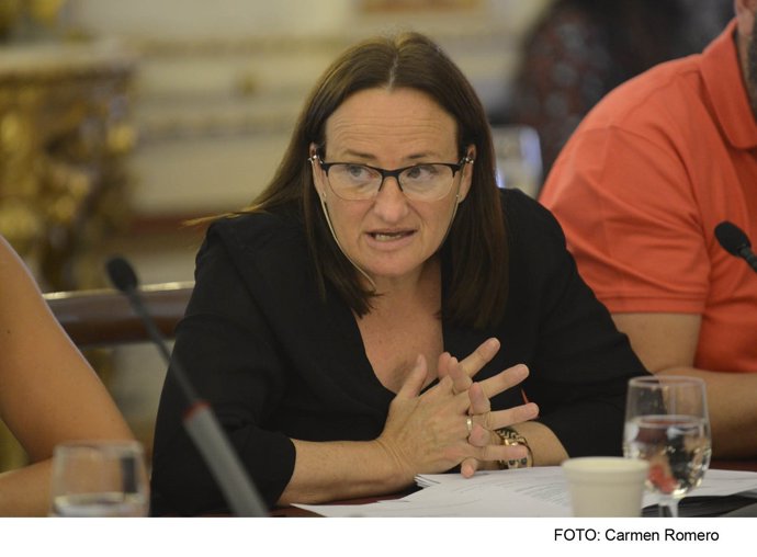 Pleno: Diputación Apoya La Inclusión De Cádiz En El Eje Turístico De Ciudades Mi