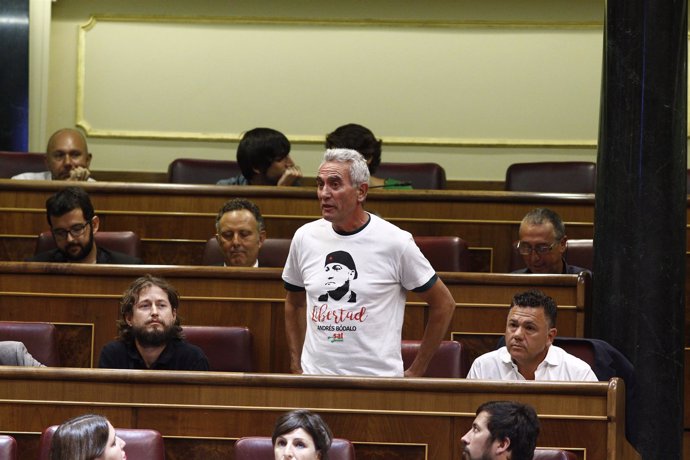 El diputado de Podemos Diego Cañamero en el Congreso