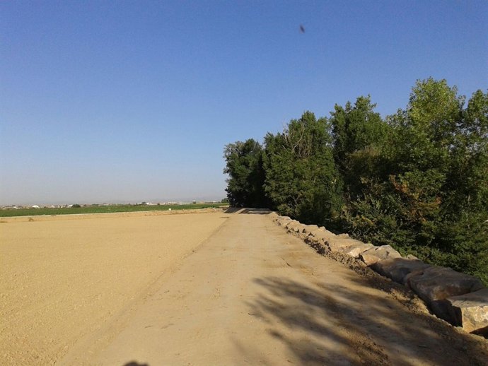 Actuaciones de emergencia