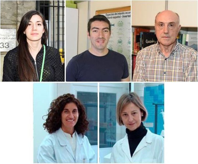 Miembros del equipo que llevó a cabo la investigación