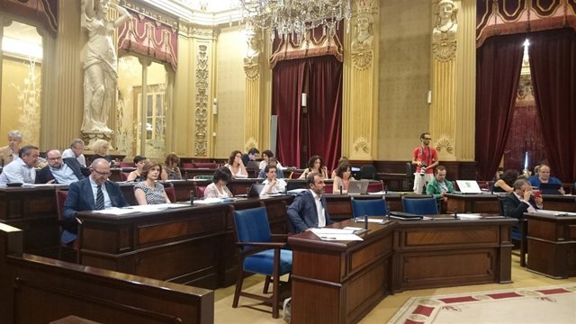 Pleno del 21 de julio