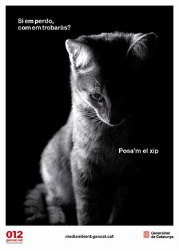 Campaña 'Posa't el xip'