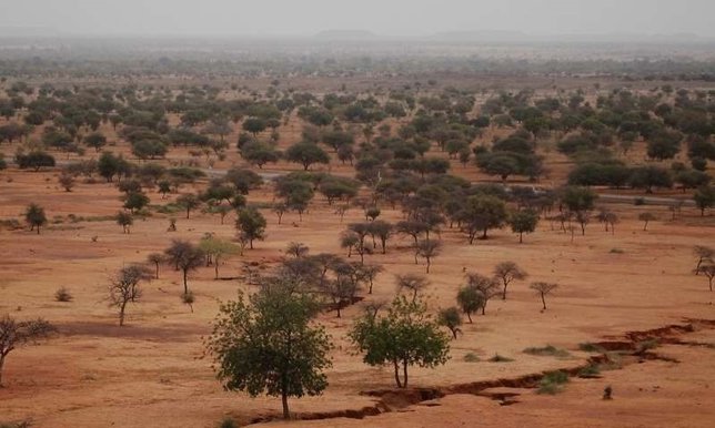 Sahel
