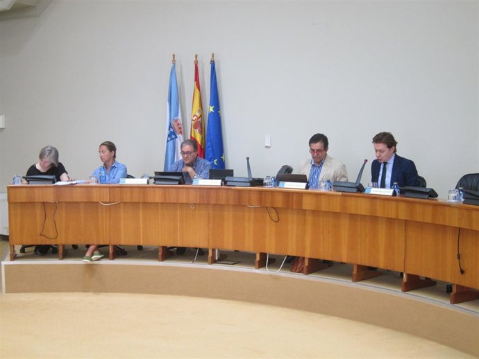 Comparecencia de Jesús García Gamallo en la cámara gallega