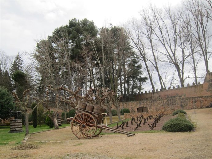 Monasterio De Veruela. Viñedos.
