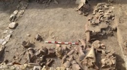 Encuentran 200 denarios de plata en Empúries