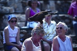 Turistas en la Costa del Sol
