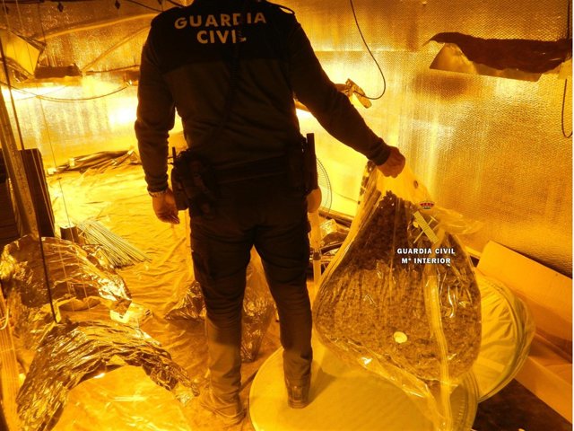 Operación contra el tráfico de drogas