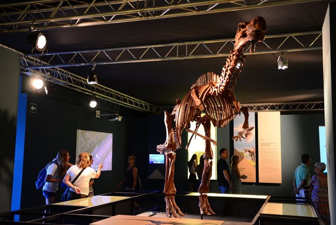 Exposición 'Els nostres dinosaures'