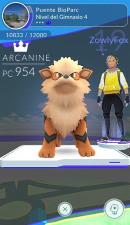 Gimnasio Pokemon Puente Bioparc