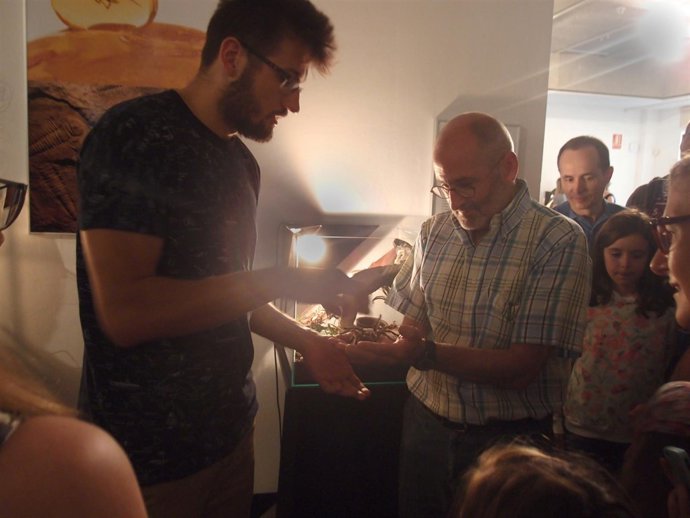 Ruiz Tutor, con una de las arañas de la muestra en la mano