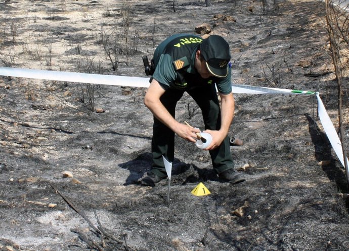 Incendio forestal en el paraja La Atalaya (Cieza)