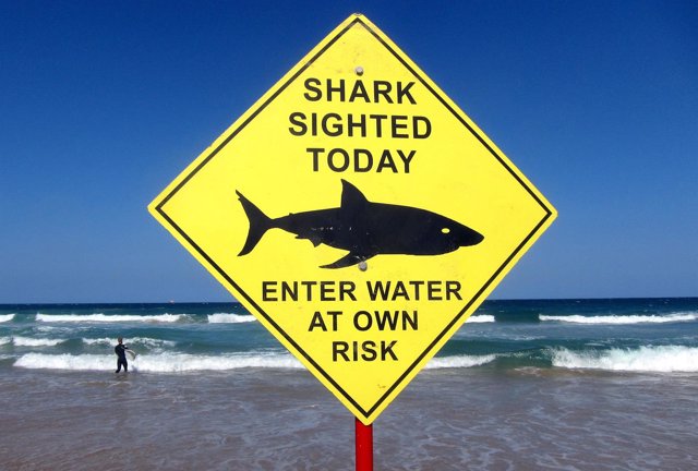 Muere una mujer tras el ataque de un tiburón en la costa oeste de Australia