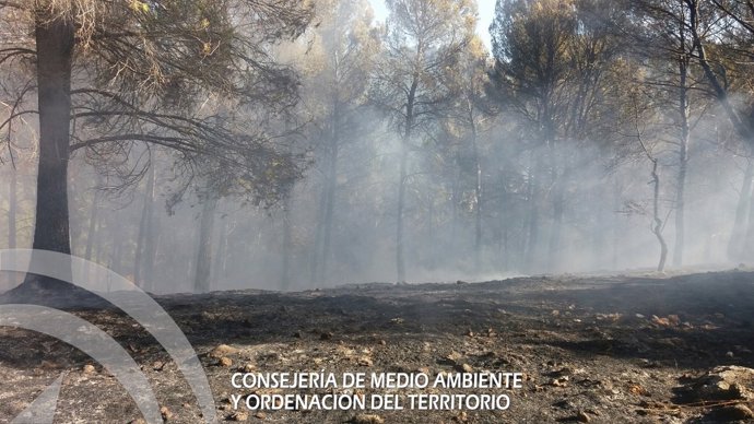 Zona afectada por el incendio de Siles