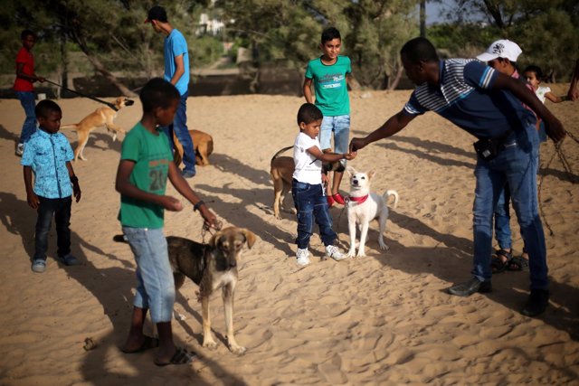 Saeed al Aer trabaja con los niños en su asociación de rescate de perros en Gaza