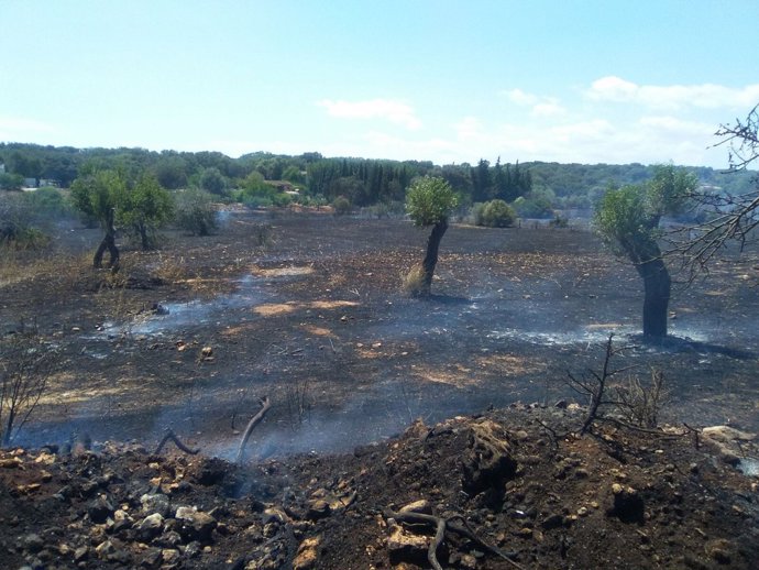 Incendio en Costitx