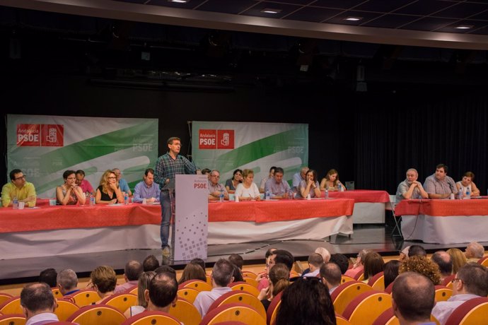 Reunión del Comité Provincial del PSOE de Almería