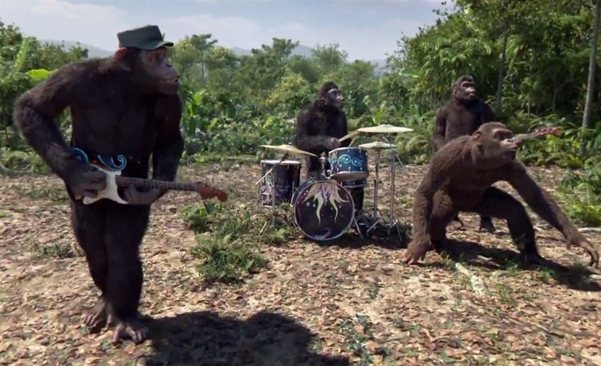 Aclarar Prisión brecha De U2 a Coldplay: 16 videoclips protagonizados por animales