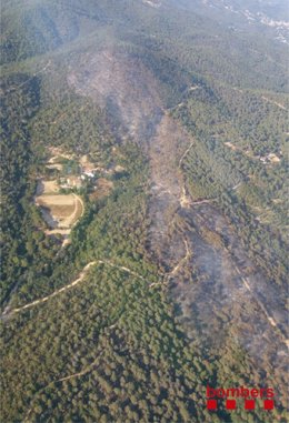 Área afectada por el incendio de Blanes