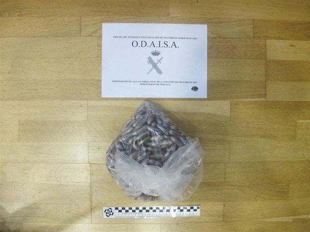 Bellotas de hachís intervenidas en el cuerpo de un viajero