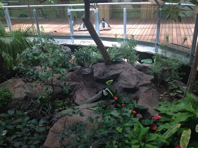 Espacio del Biodomo del Parque de las ciencias de Granada