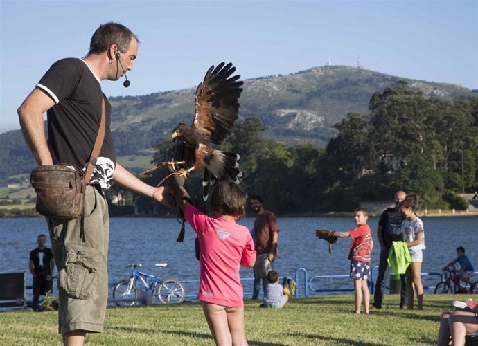 Cetrería una de las actividades